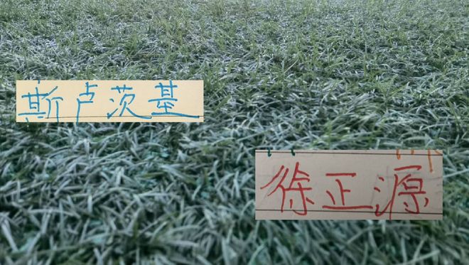 欧超杯冠军将诞生！巴黎大战维拉，2位西班牙名帅斗法，149亿对决