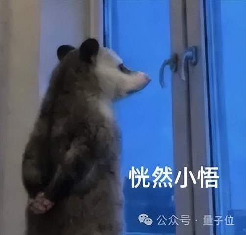 比利时球迷建网站给鲁迪