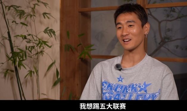 卢卡库转战土超,携手格林伍德,费内巴切打造恐怖战舰剑指欧冠