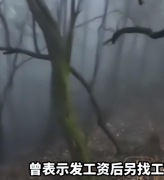 选秀临近 雄鹿开放字母哥交易