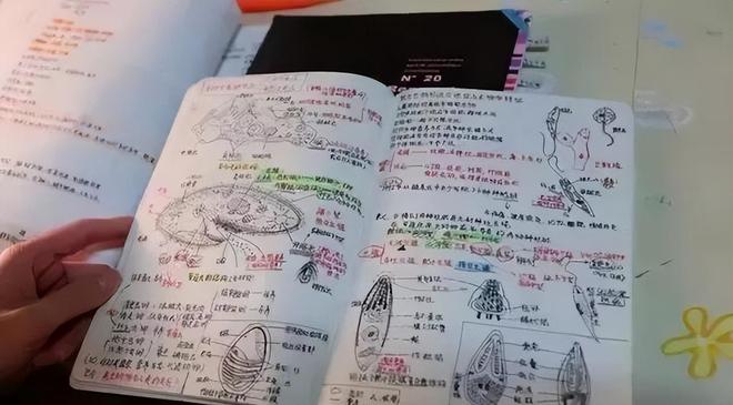“甜馨疑似当姐姐了？”冲上热搜，李小璐被指疑似生二胎，其与前夫贾乃亮于2019年正式离婚，目前工作室暂未回应
