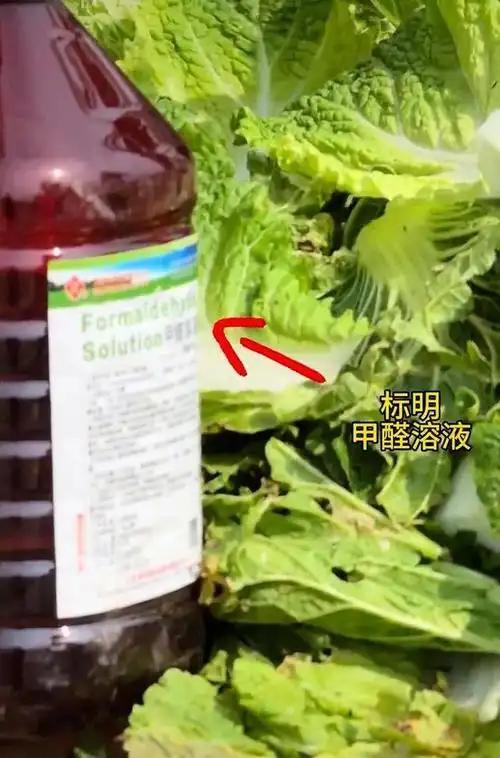 维尼修斯个人秀挽狂澜 巴西1