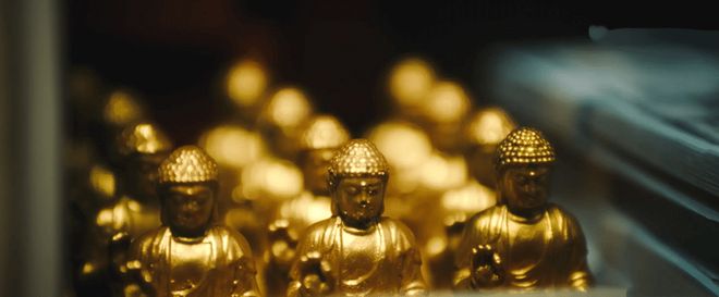 津媒:津门虎如今的“一鸣惊人”,是多年坚持努力的水到渠成