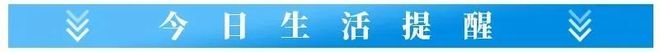 动物行为学发现一条违背直觉的铁律：对配偶越专一的雄性，体内睾酮水平却越低，不是忠诚让它变弱，而是专一本身在重塑它的生存策略